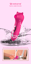 Load image into Gallery viewer, 10 Modes Clitoral Sucking Vibrator