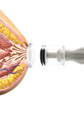 Load image into Gallery viewer, 2021 Hot Nipple Sucker Breast Clamps Enlarger Enlarger Clitoris