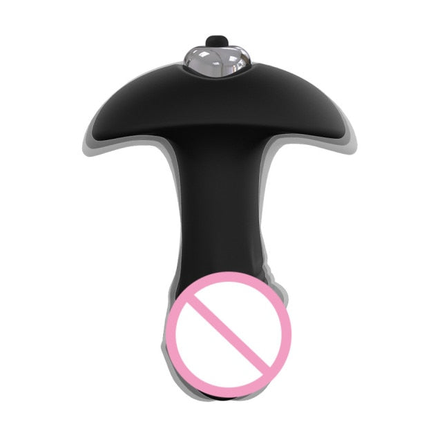 2 in 1 Vibrating Butt Plug Waterproof  Stimulator