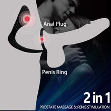 Load image into Gallery viewer, Prostate Massage
