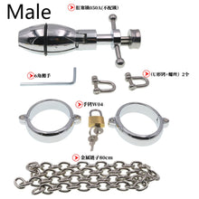 Load image into Gallery viewer, Stainless Steel Anal Dilator Ass Expanding Chastity Device For Women Men Couples
